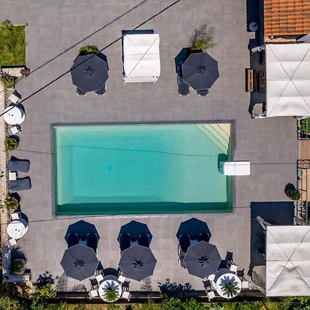 Daire Evita Svoronata