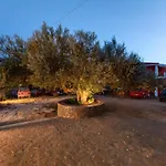 Evita سفوروناتا